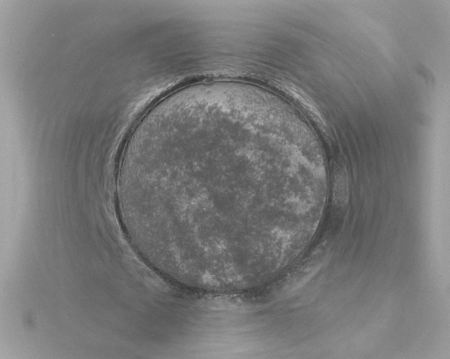 X0000116050673200912041833
