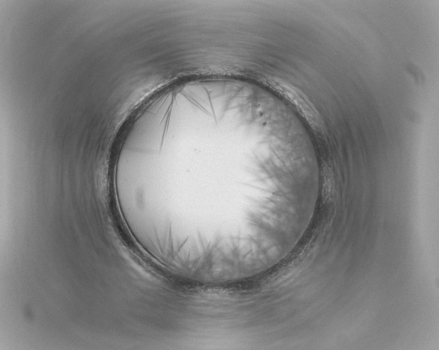 X0000116050677200912041833