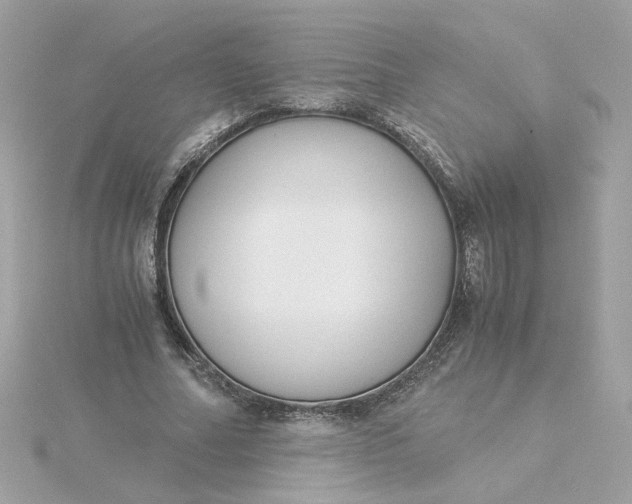 X0000116050682200912041833