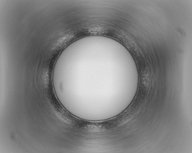 X0000116050690200912041833