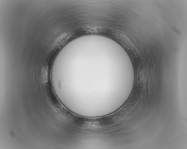 X0000116050694200912041833