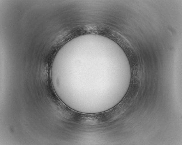 X0000116050702200912041833