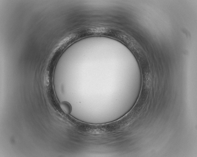 X0000116050731200912041832