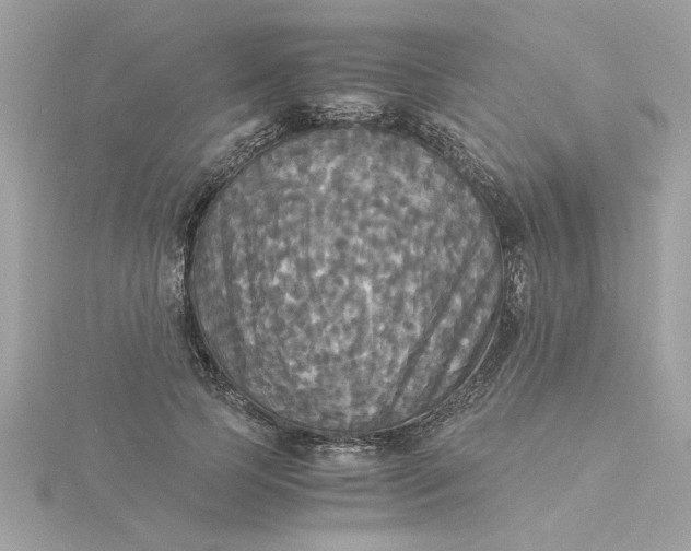 X0000116050745200912041832