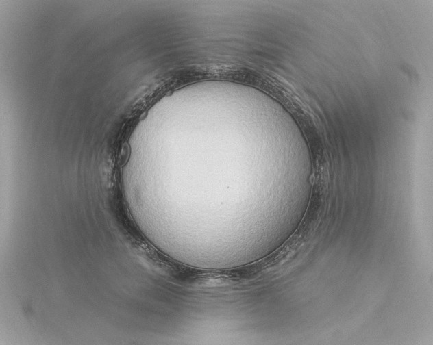 X0000116050750200912041832