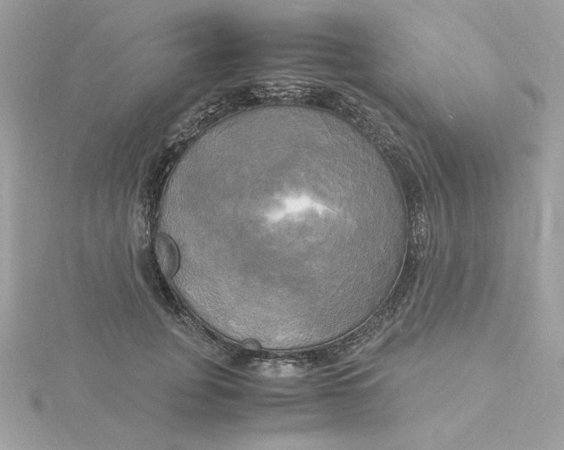 X0000116050751200912041832