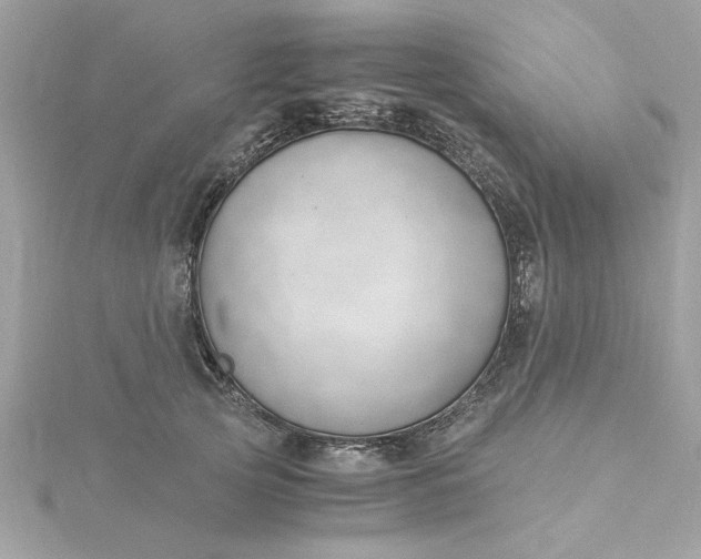 X0000116050753200912041833