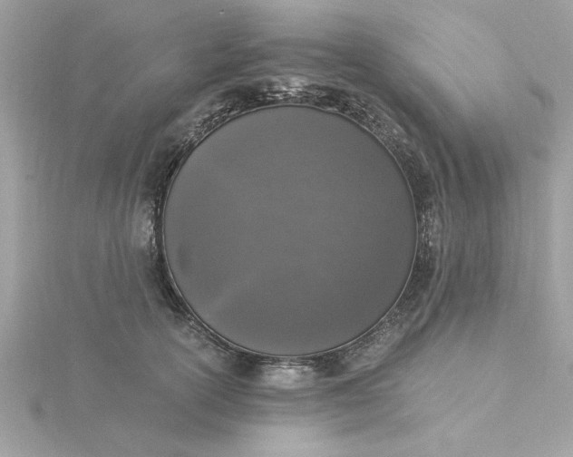 X0000116050754200912041833