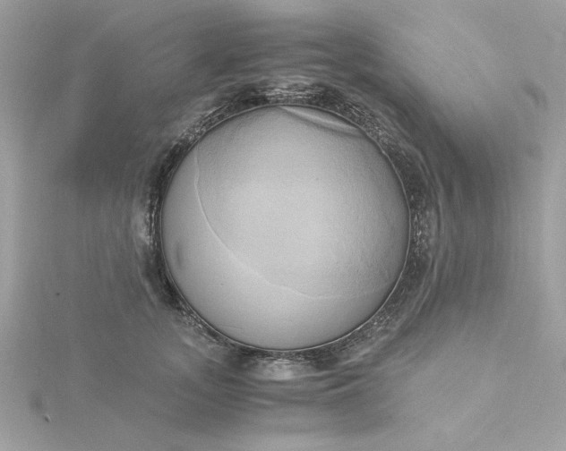 X0000116050755200912041833