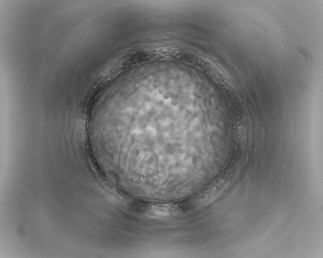 X0000116050757200912041833