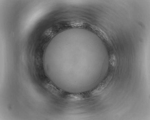 X0000116050763200912041833