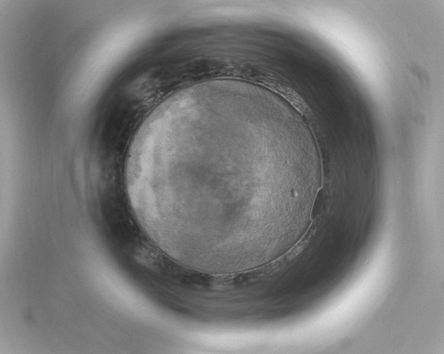 X0000116050766200912041833