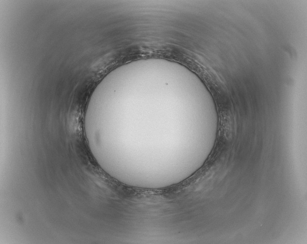 X0000116050770200912041832
