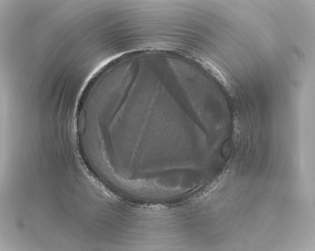 X0000116050784200912041832