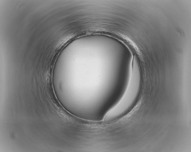 X0000116050785200912041832