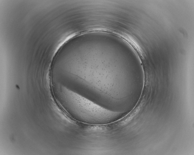 X0000116050806200912041832