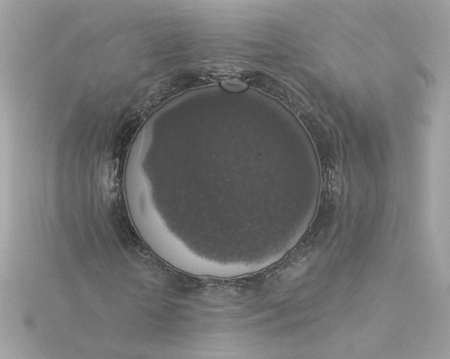 X0000116050818200912041831