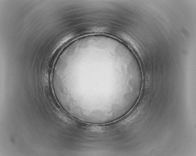 X0000116050827200912041831