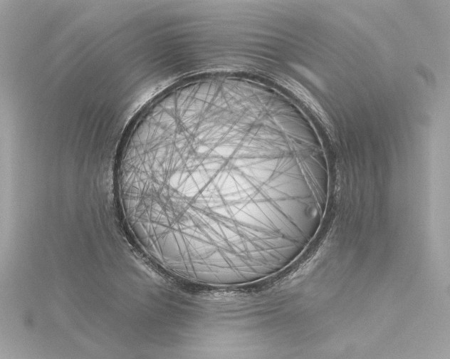X0000116050834200912041831