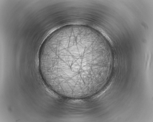 X0000116050837200912041831