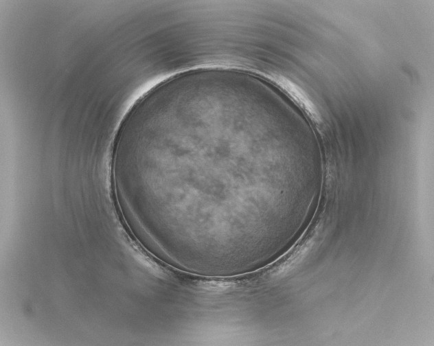 X0000116050854200912041831