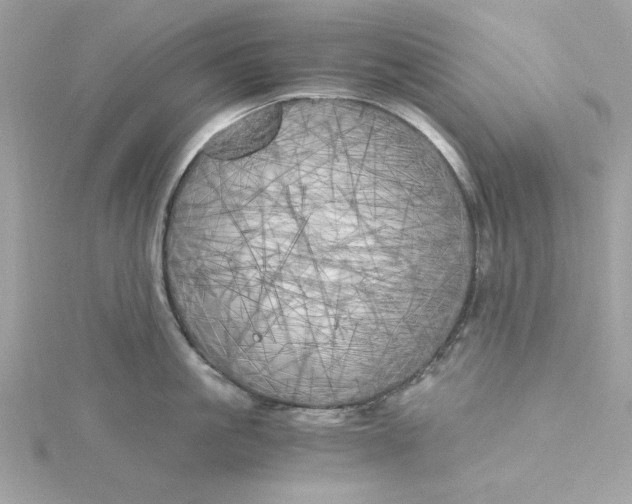X0000116050861200912041831