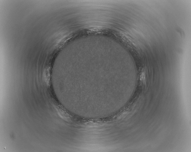 X0000116050868200912041831