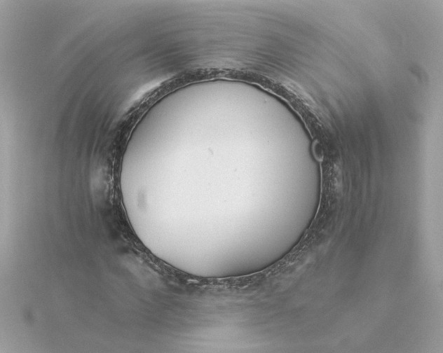 X0000116050872200912041831