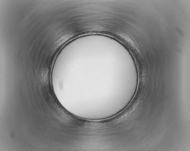 X0000116050873200912041831