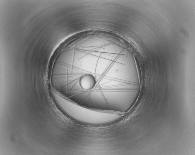 X0000116050880200912041831