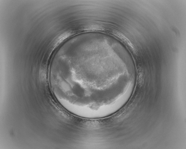 X0000116050882200912041831