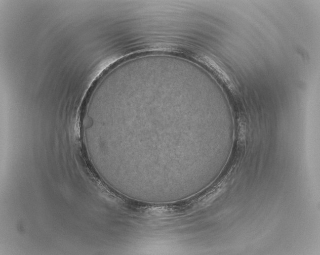 X0000116050883200912041831