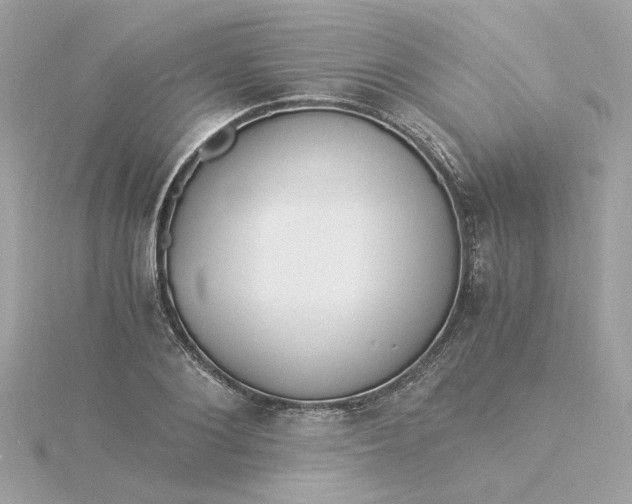 X0000116050884200912041831