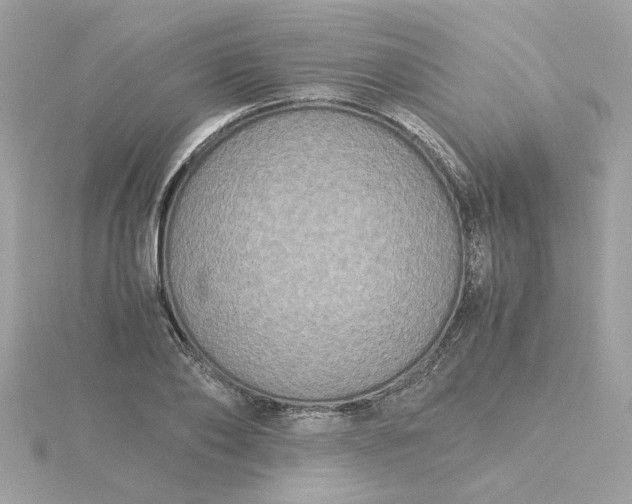 X0000116050886200912041831