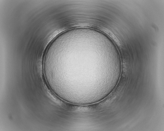 X0000116050890200912041831