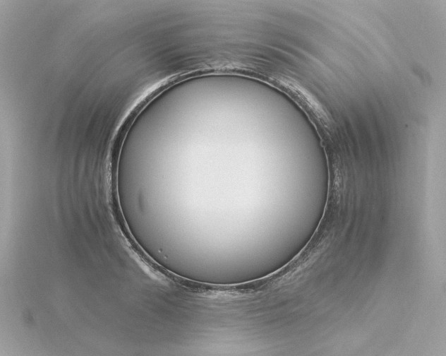 X0000116050894200912041830