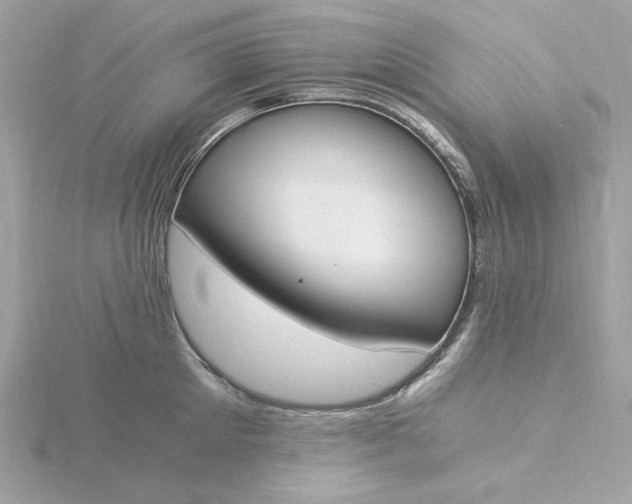 X0000116050905200912041830