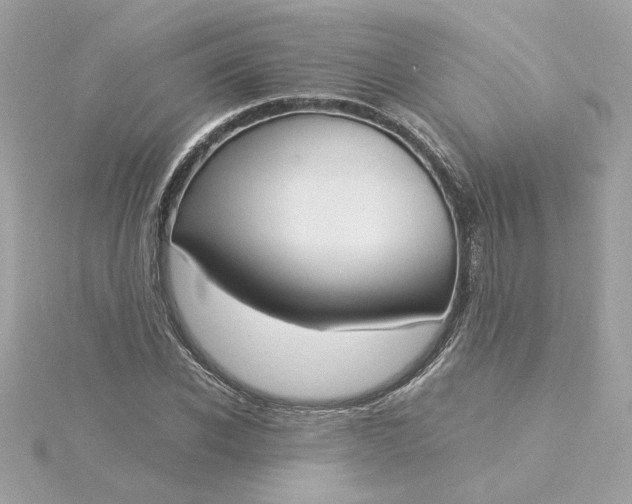 X0000116050926200912041830