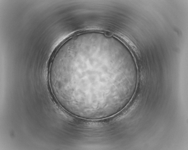 X0000116050933200912041830
