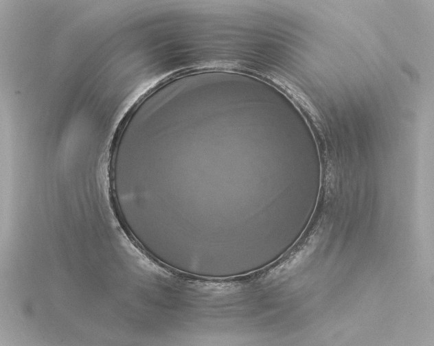 X0000116050941200912041830