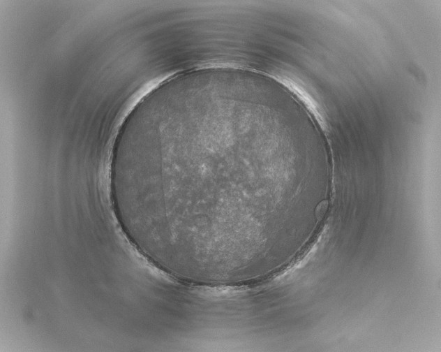 X0000116050949200912041830
