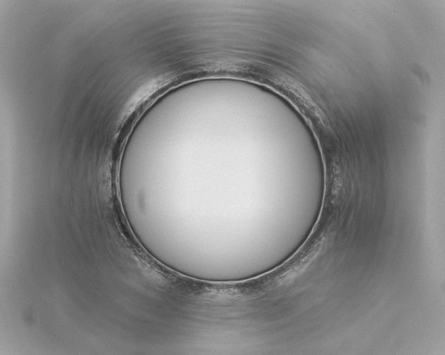 X0000116050978200912041829
