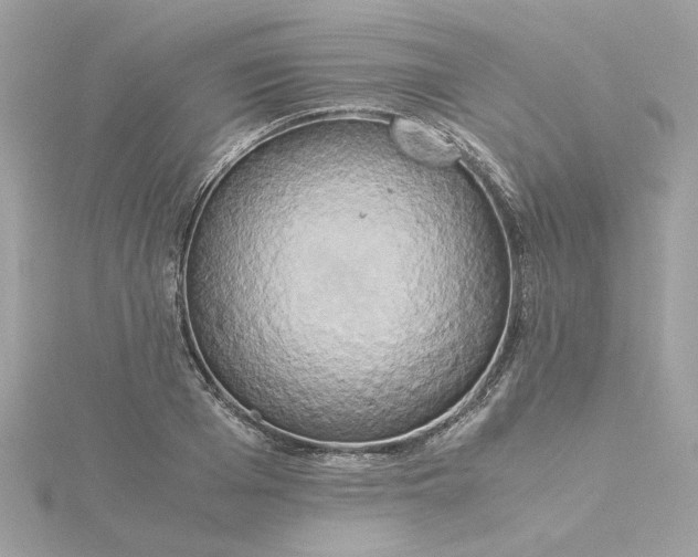 X0000116050985200912041829