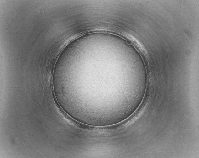 X0000116050993200912041829