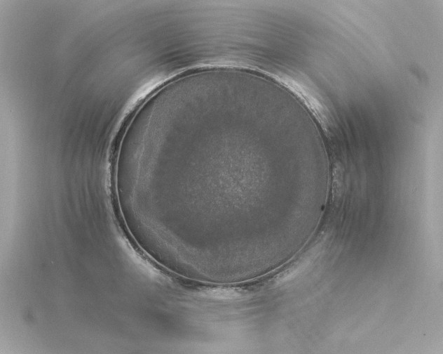 X0000116050998200912041829