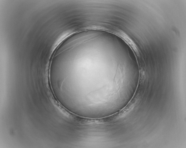 X0000116051002200912041829