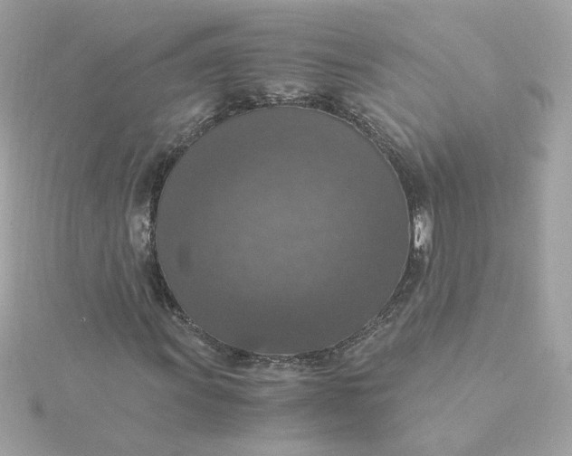 X0000116051011200912041828