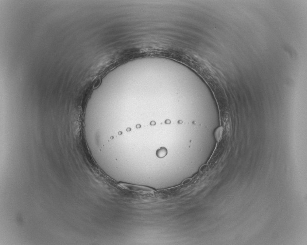 X0000116051012200912041828