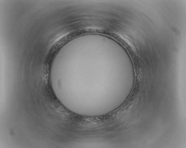X0000116051015200912041828