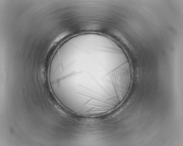 X0000116051018200912041829